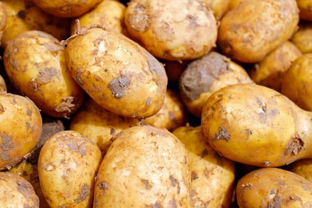 1665433393-1648192311-potatoes-gf367b39ab_1280-750x500