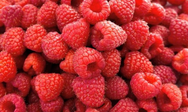 maline-800x480
